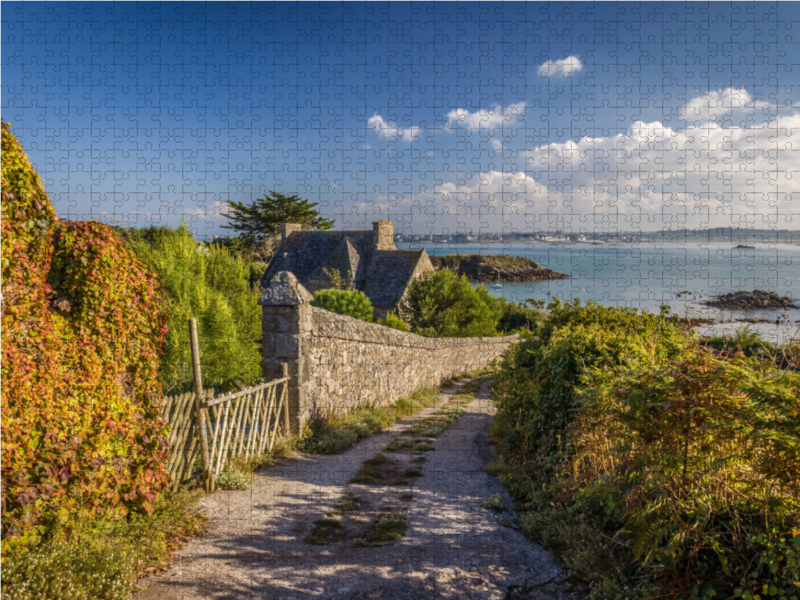 Pfad zum Meer auf der Ile de Batz in der Bretagne, Frankreich