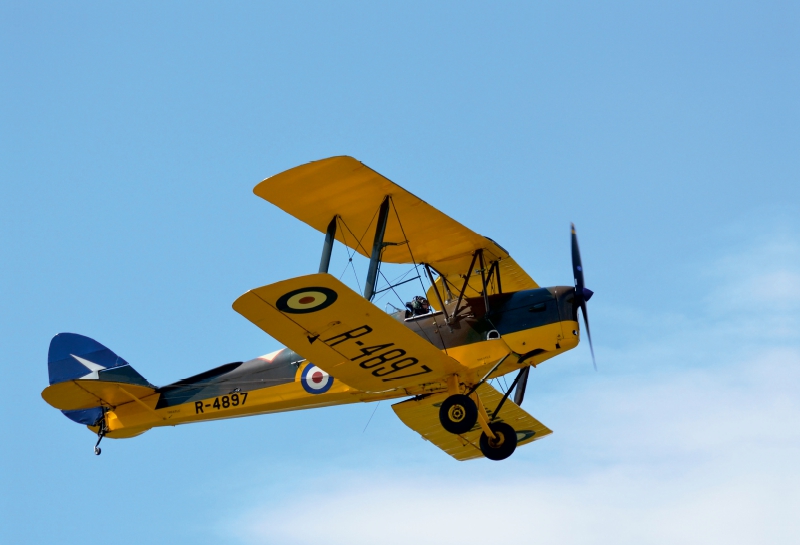 Tiger Moth