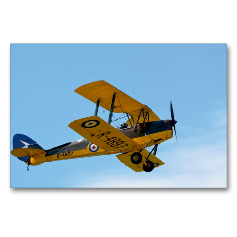 Tiger Moth