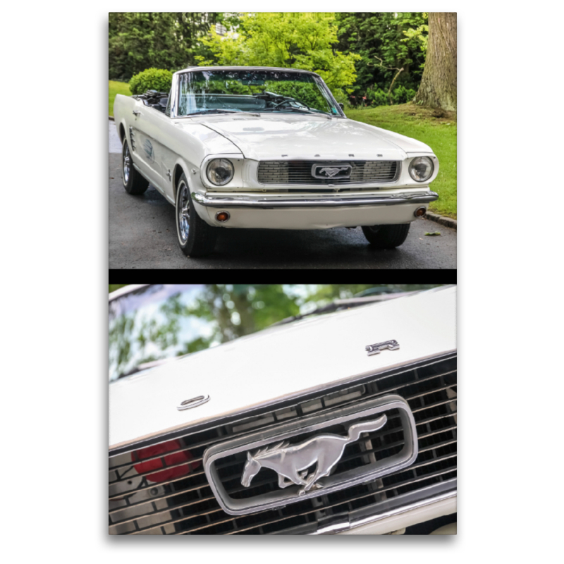 Ford Mustang (1964-1966) Oldtimer