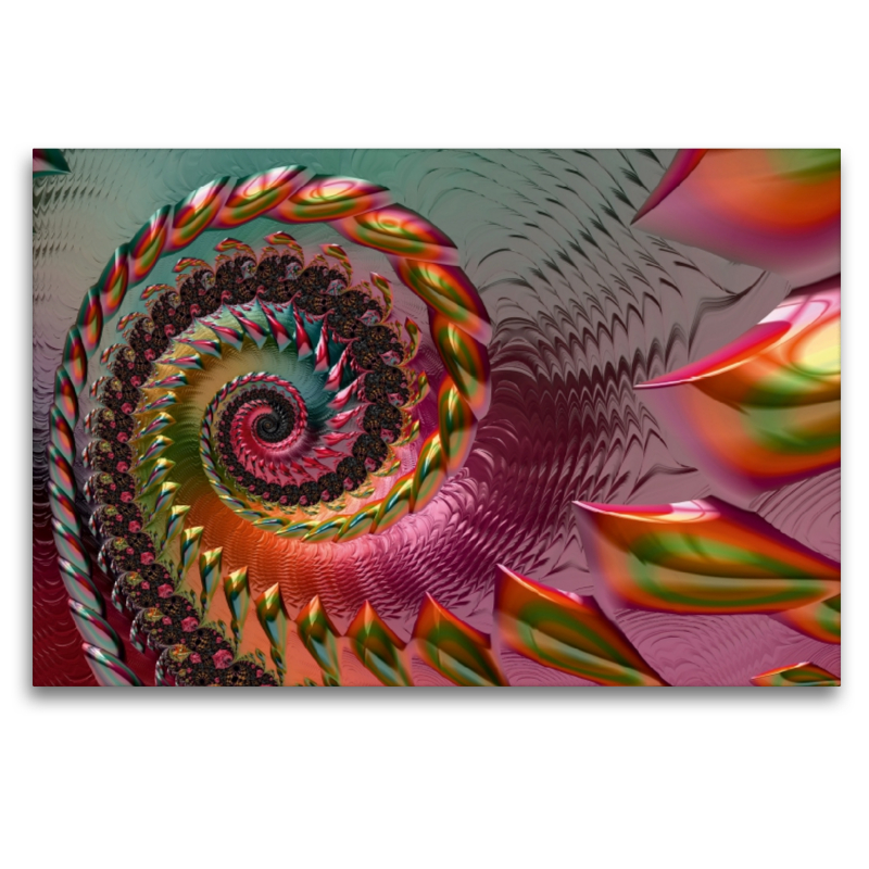 Jolly Spiral Beauty