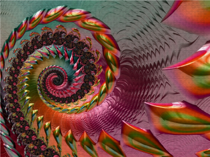 Jolly Spiral Beauty