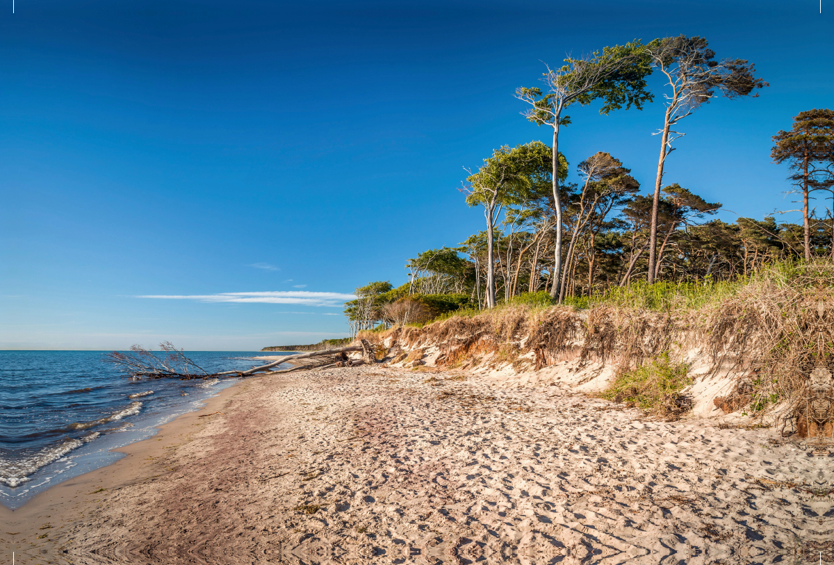 Weststrand am Darß im Nationalpark Vorpommersche Boddenlandschaft