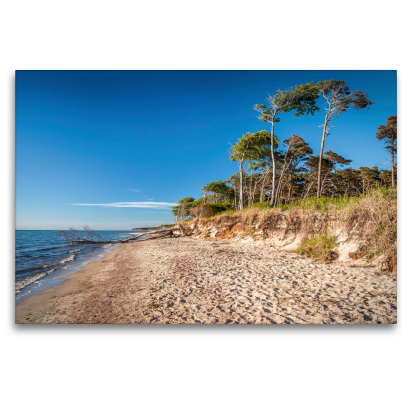 Weststrand am Darß im Nationalpark Vorpommersche Boddenlandschaft