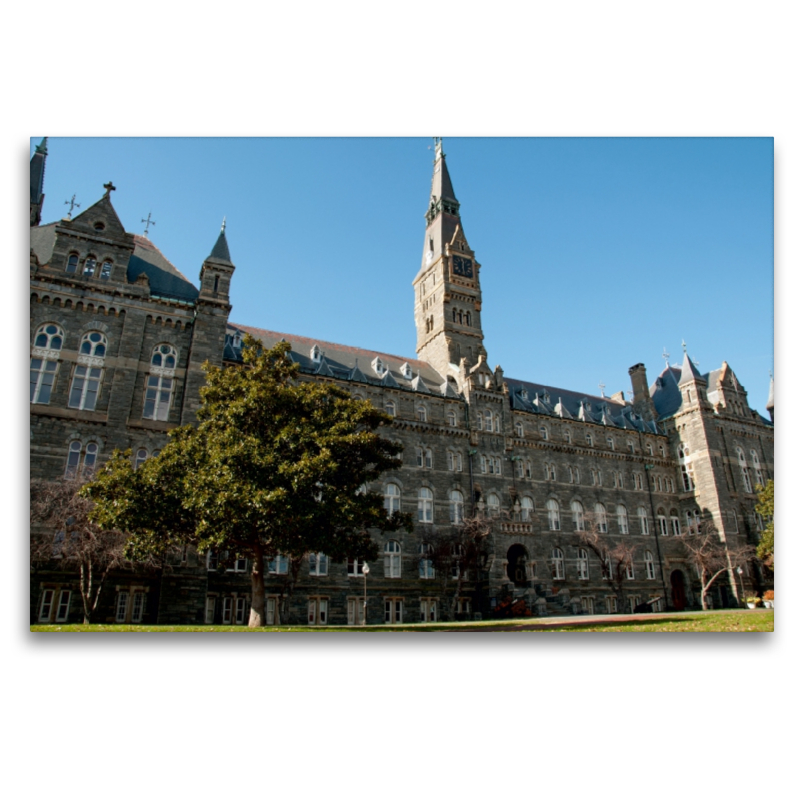 Georgetown University