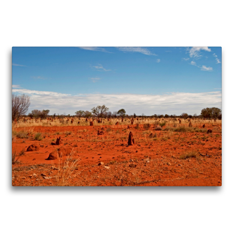 Westaustralien: Ständige Begleiter am Tanami Track - die Termitenhügel