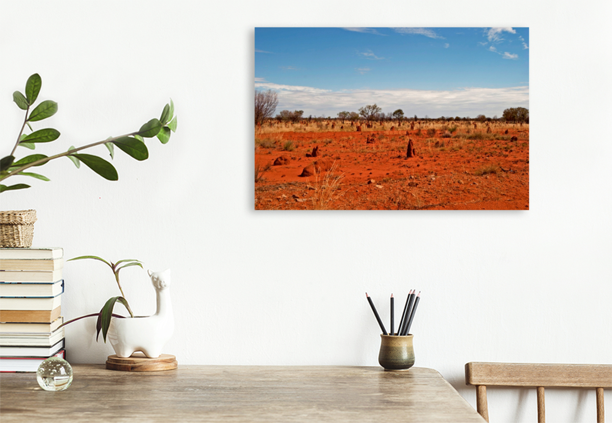 Westaustralien: Ständige Begleiter am Tanami Track - die Termitenhügel