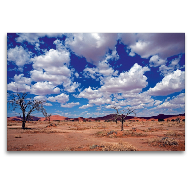 Namibia: Überall Dünen und wenig Vegetation im Namib Naukluft Park.