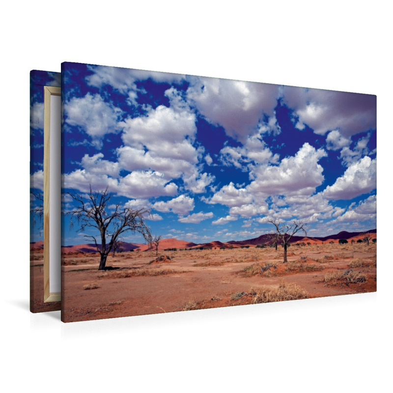 Namibia: Überall Dünen und wenig Vegetation im Namib Naukluft Park.