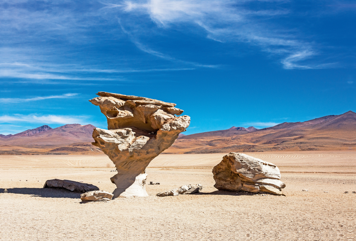 Arbol de piedra