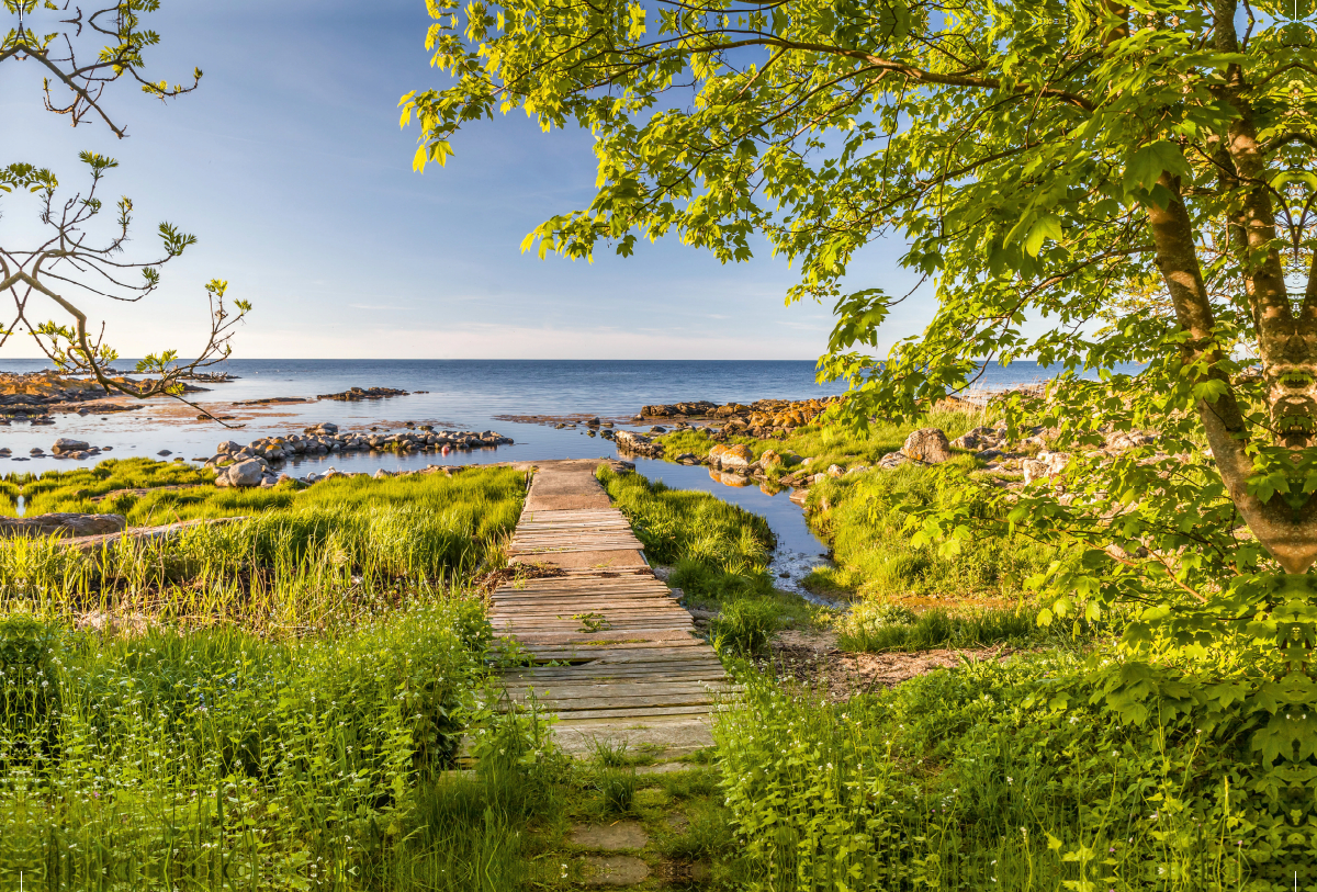 Frühlingspracht auf der Insel Bornholm