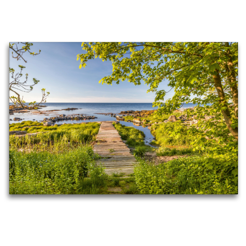 Frühlingspracht auf der Insel Bornholm