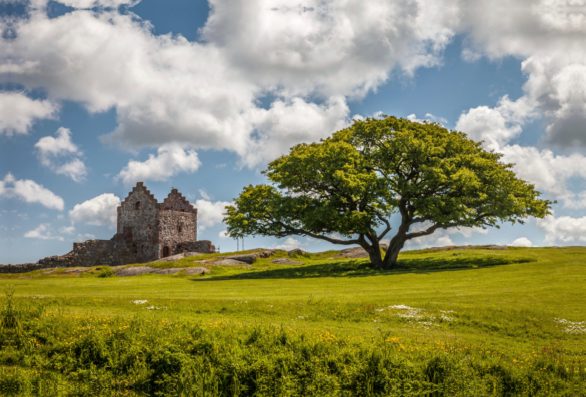 Festung Hammershus auf Bornholm, Dänemark