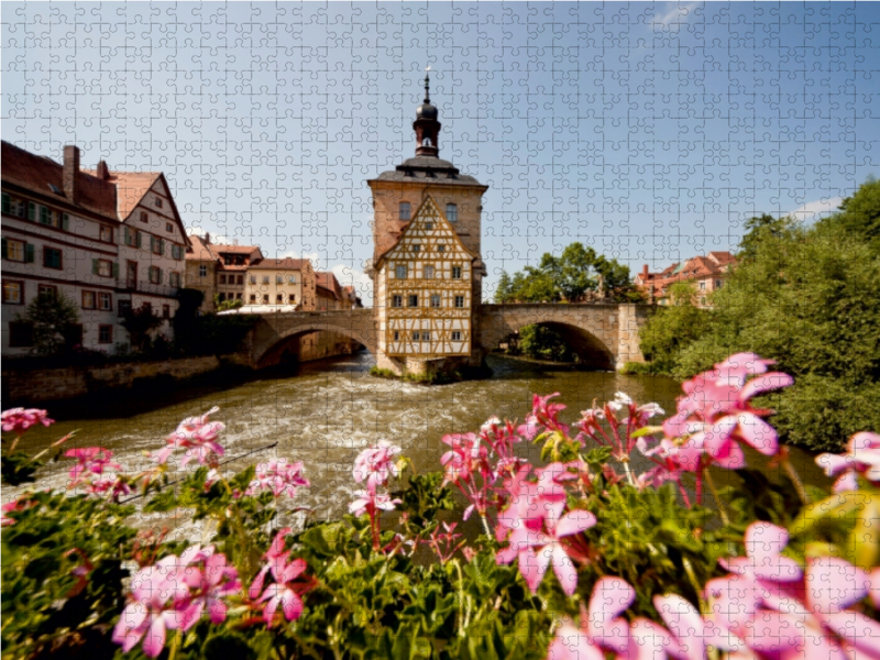 Fluss Regnitz und Rathaus in Bamberg