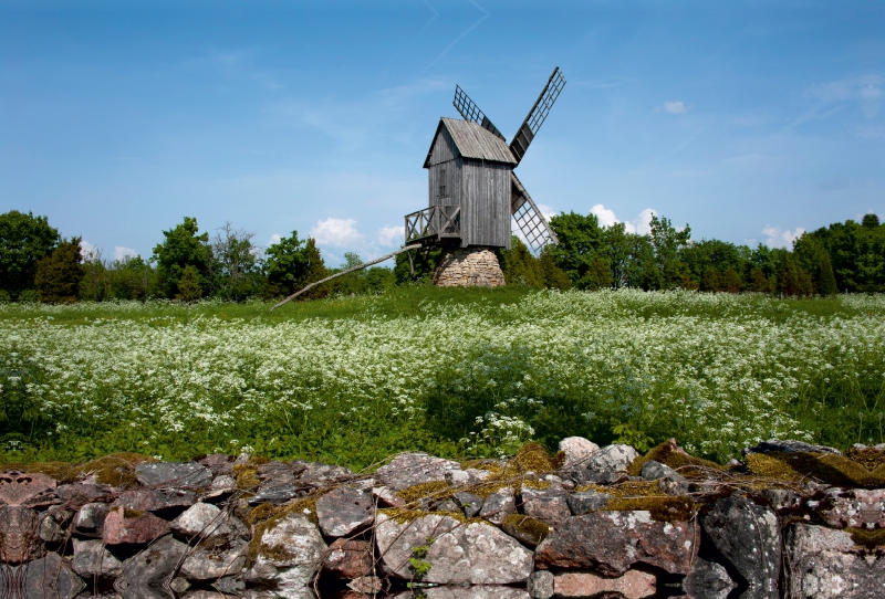 Insel Muhu: Koguva