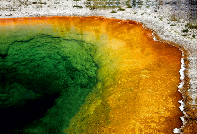 Morning Glory Pool