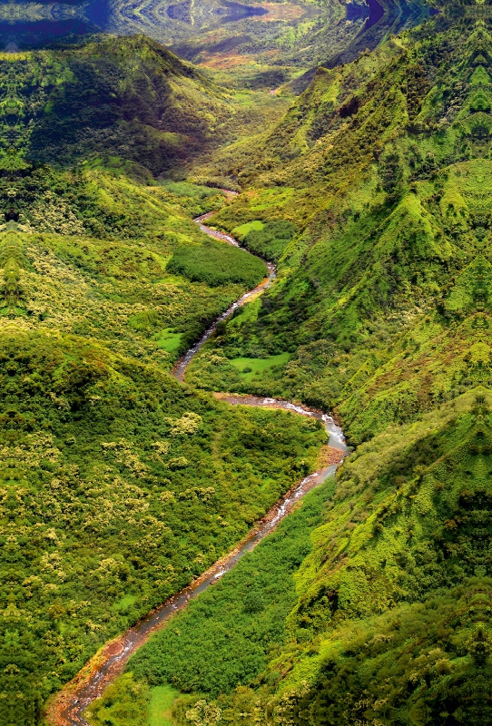 Waimea River