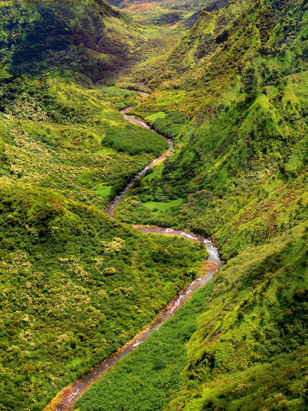 Waimea River