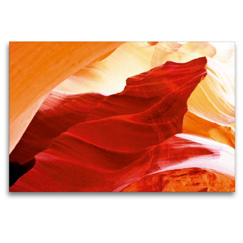 Der Wolf vom Antelope Canyon