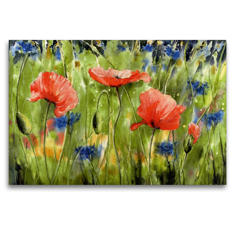 Aquarell Mohn