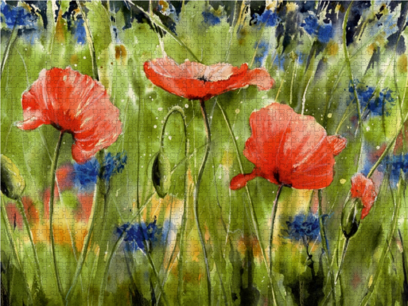 Aquarell Mohn