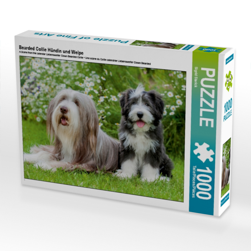 Bearded Collie Hündin und Welpe