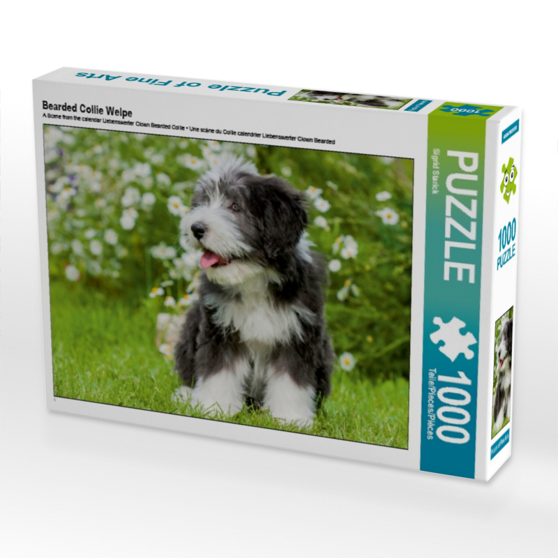 Bearded Collie Welpe