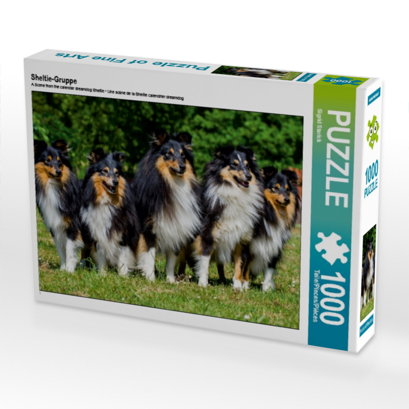 Sheltie-Gruppe