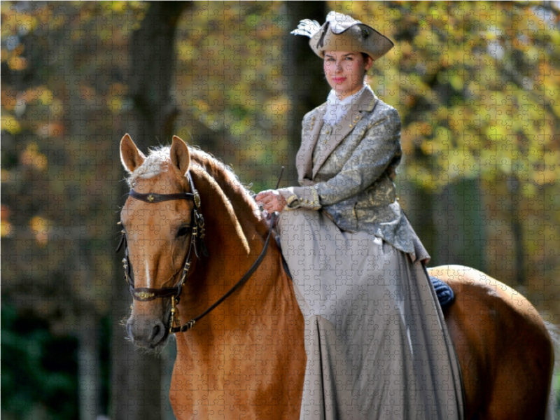 Fürstliche Hofreitschule Bückeburg - Lusitano