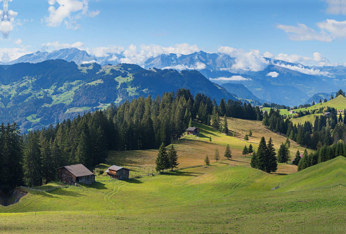 Idyllische Schweizer Alpenlandschaft Stelserberg im Prättigau