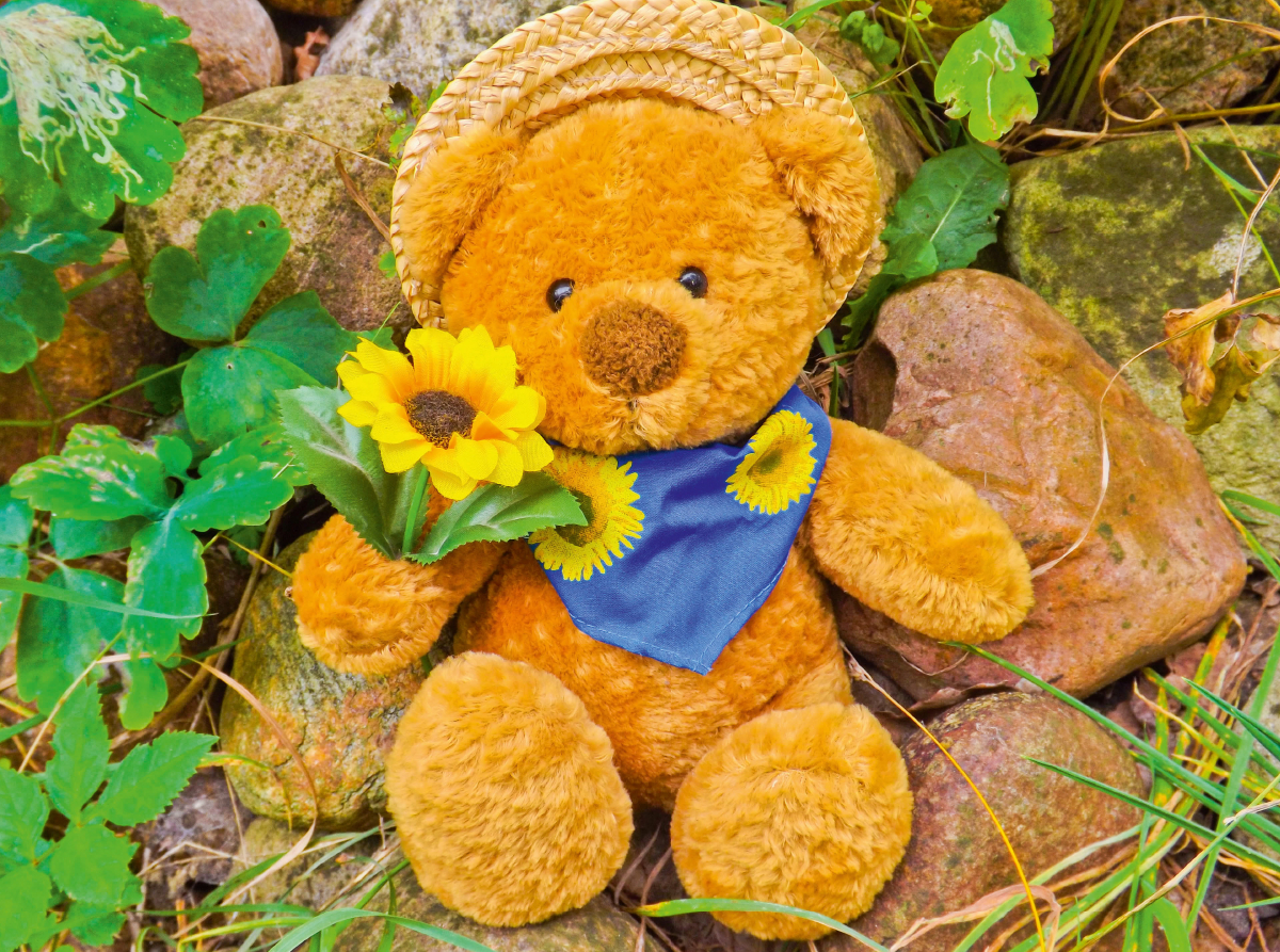 Teddybär mit Sonnenblume