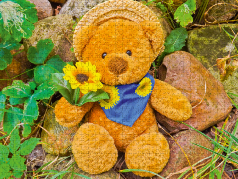 Teddybär mit Sonnenblume