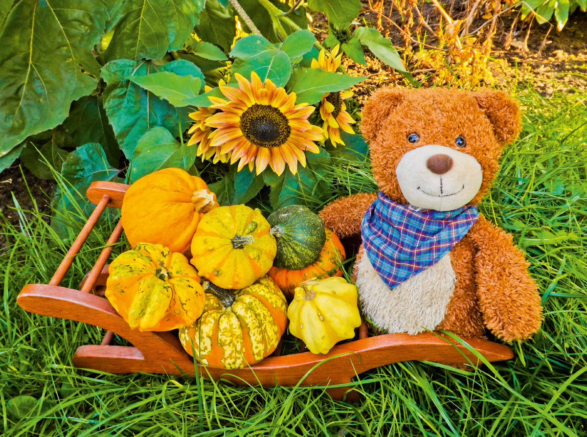 Ein Motiv aus dem Kalender Outdoor Teddies