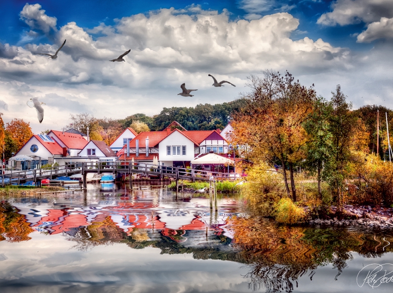 Am Steinhuder Meer