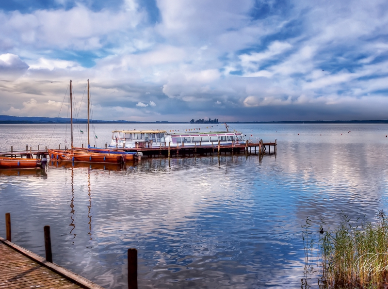 Am Steinhuder Meer