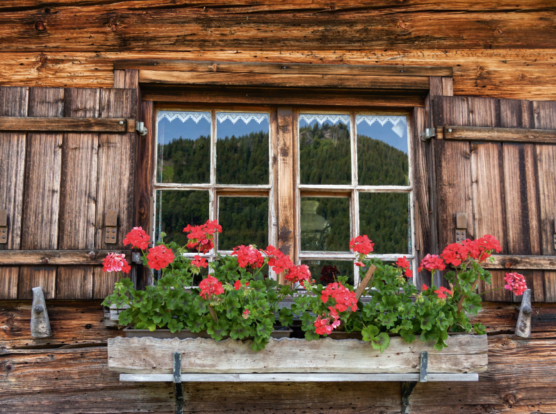 Fenster der Alpe Gschwender Berg