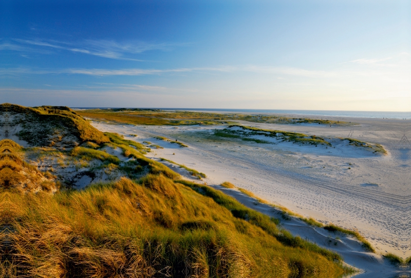 Amrum