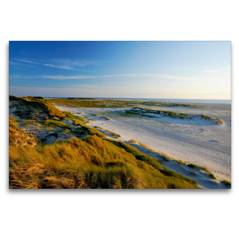 Amrum