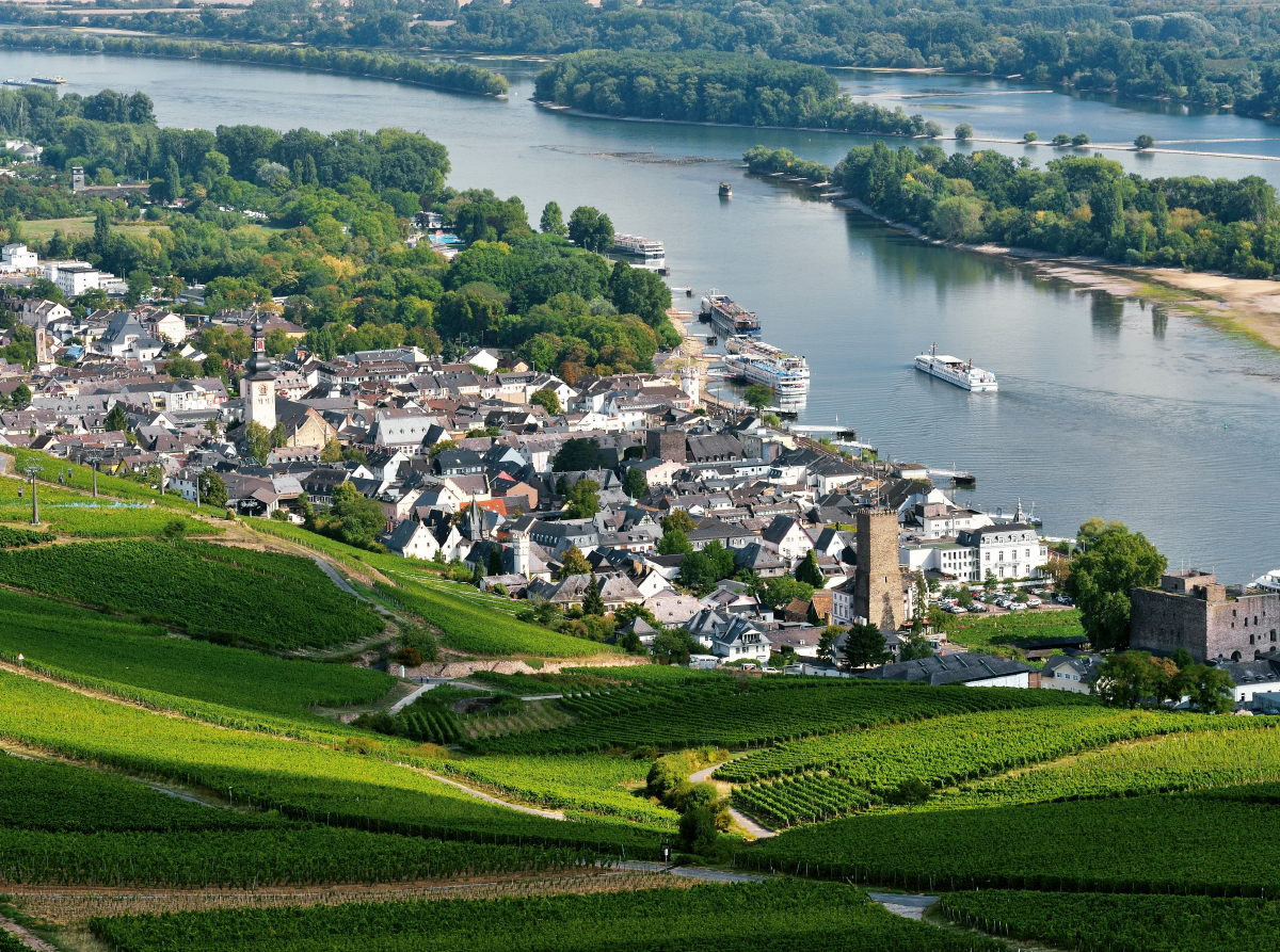 Rüdesheim mit Brömserburg und Boosenburg