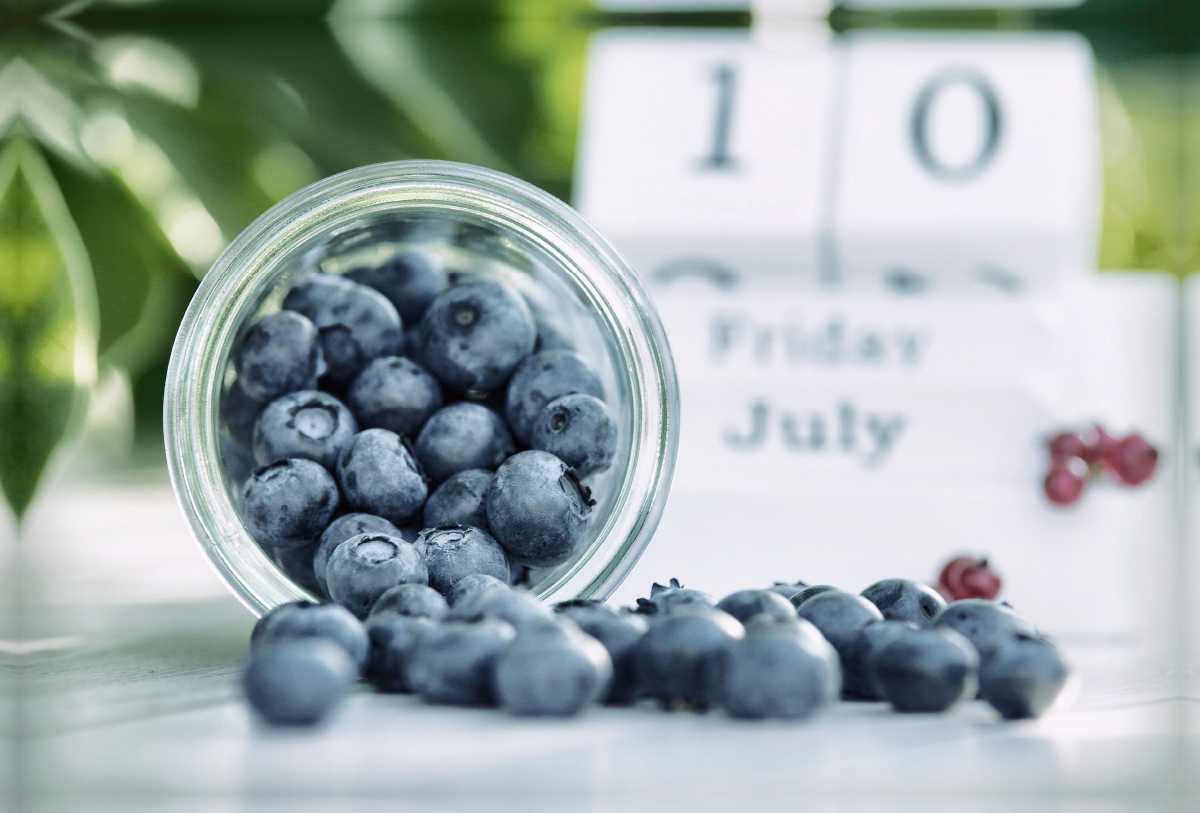 Blaubeeren in der Sommerküche