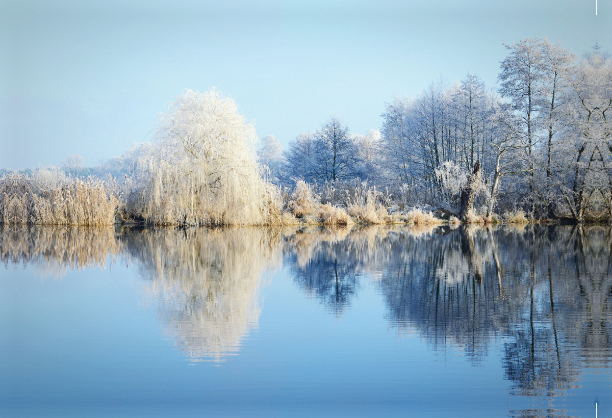 Wasserspiegelung an der Havel. Winterlandschaft