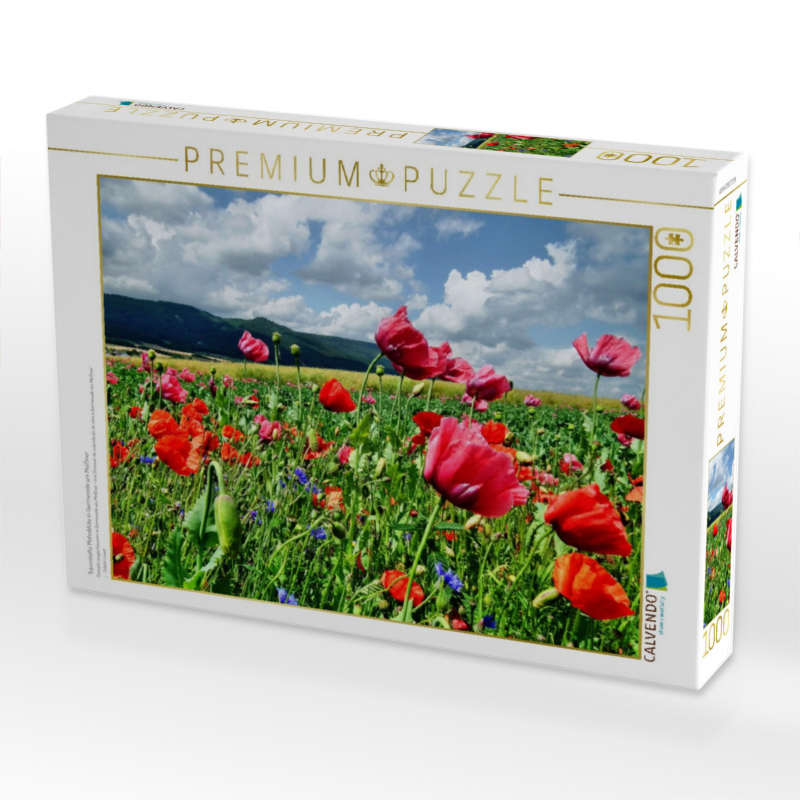 Traumhafte Mohnblüte in Germerode am Meißner