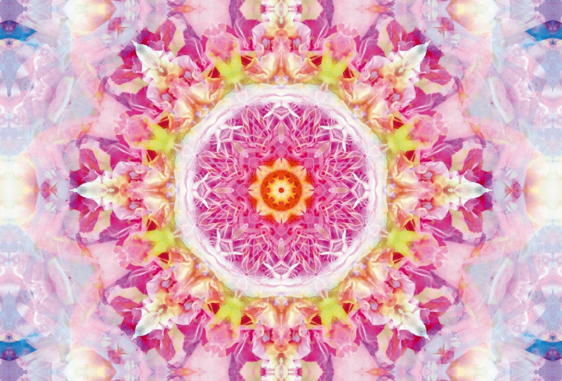 Blüten Mandala Rosa