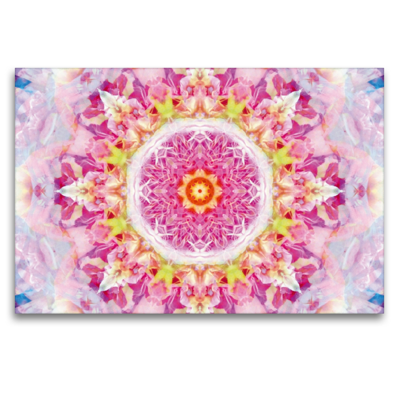 Blüten Mandala Rosa