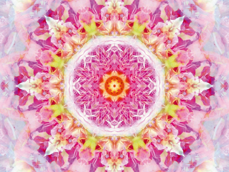 Blüten Mandala Rosa