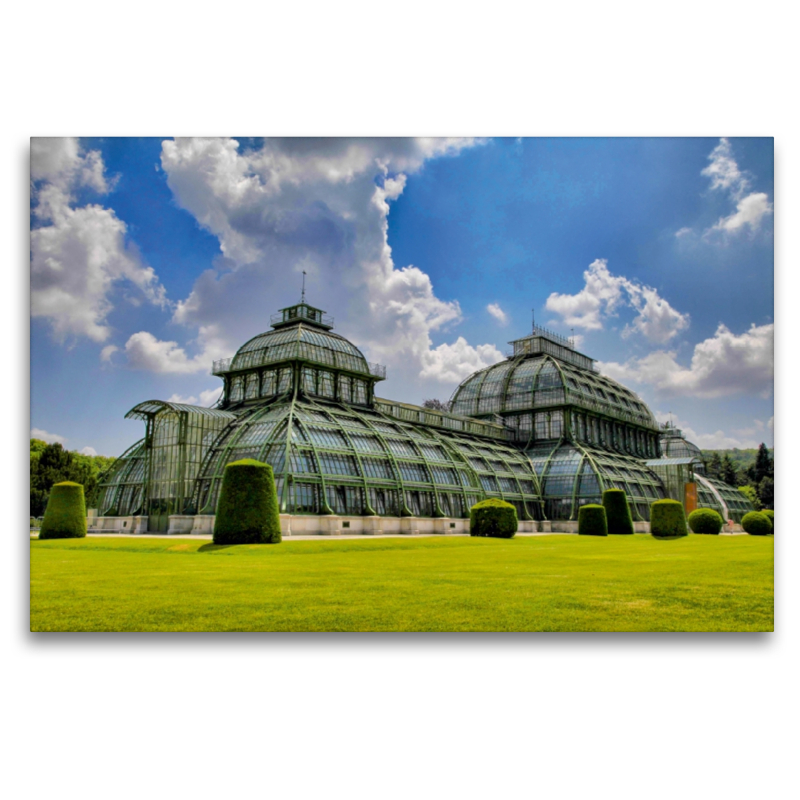 Palmenhaus in Schönbrunn