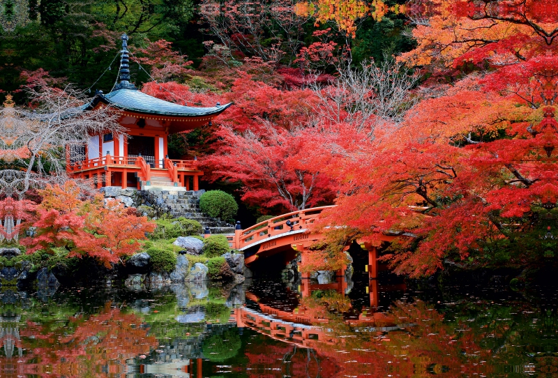 Roter Pavillion im Herbst in Kyoto