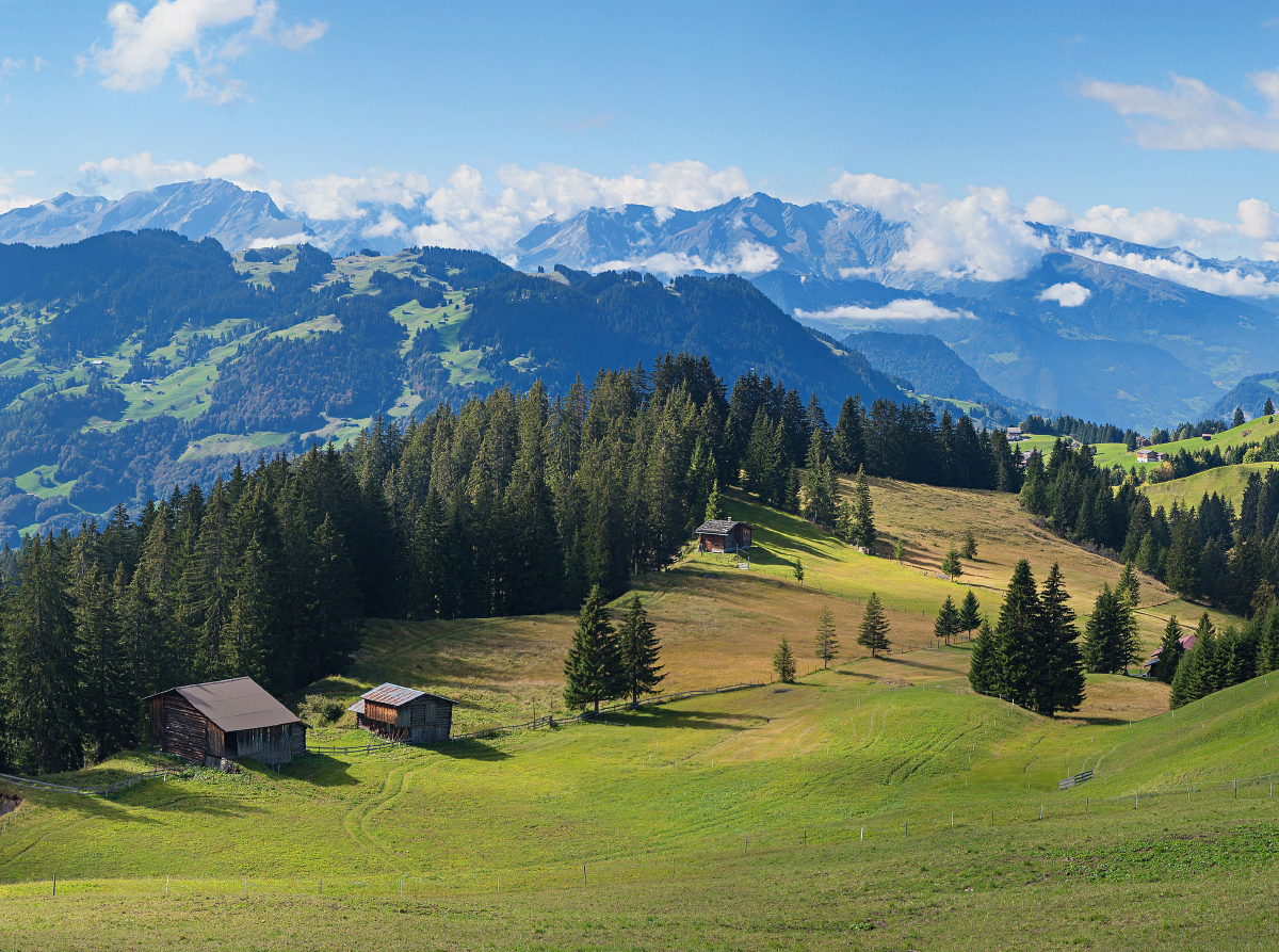 Idyllische Schweizer Alpenlandschaft Stelserberg im Prättigau