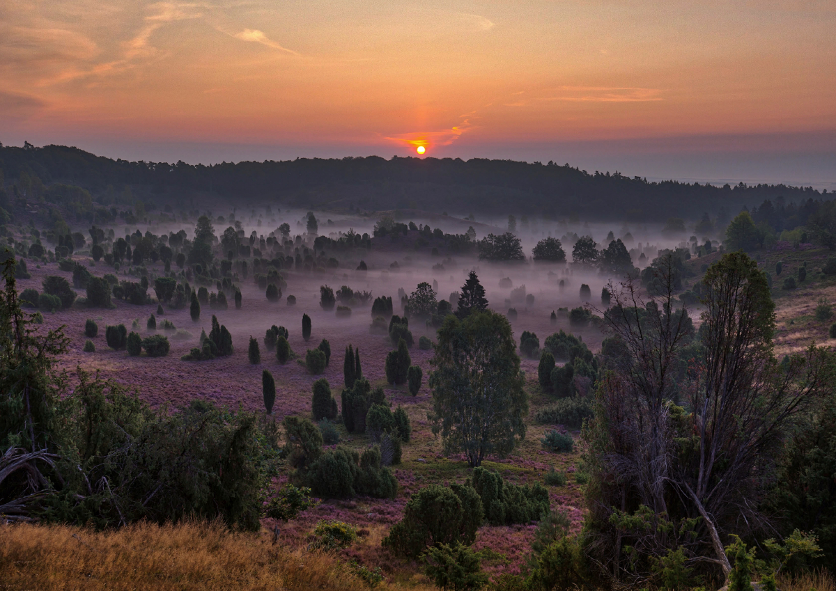 Sehenswertes Naturschutzgebiet Lüneburger Heide CALVENDO
