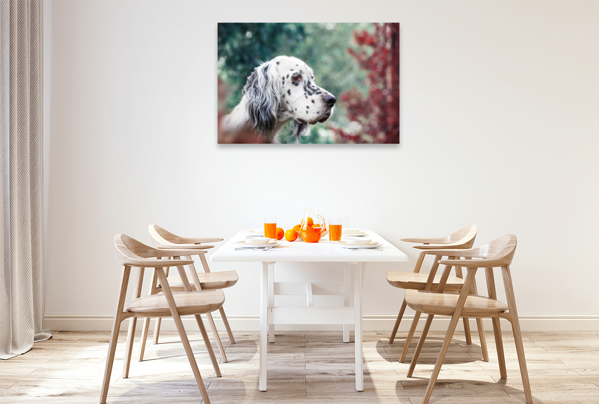 Bluebelton English Setter Hündin